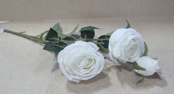 Rose Close